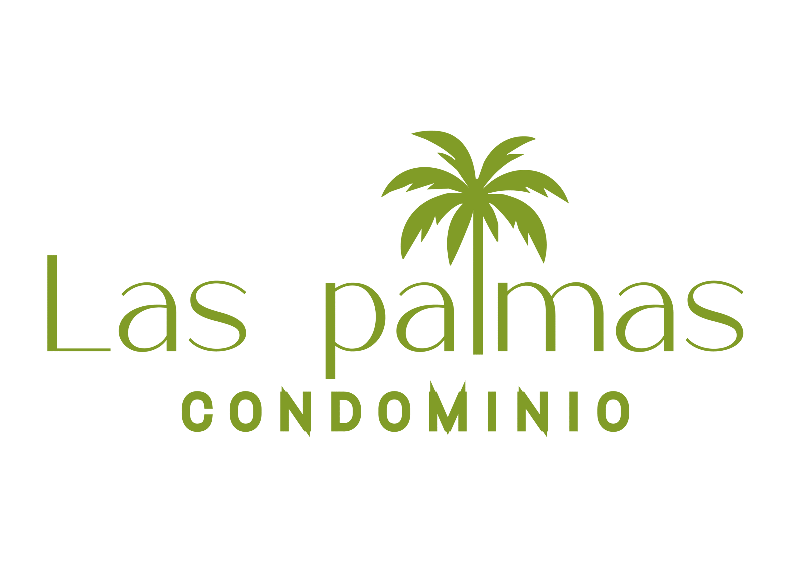 laspalmasctg.com